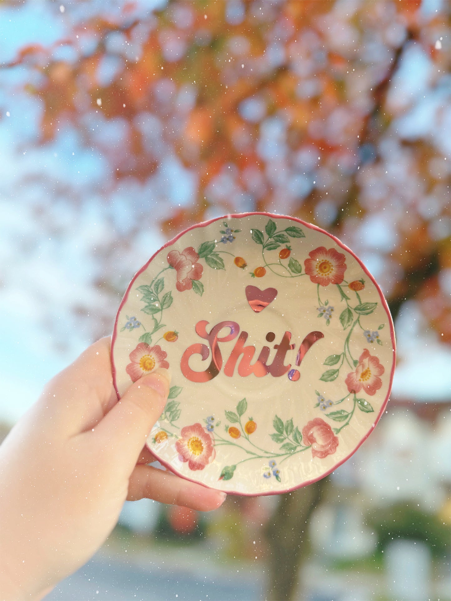 Shit! - Dirty Dishware